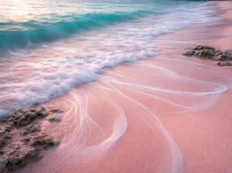 Sistem 30_ Plant Extracellular Vesicles (3)-2