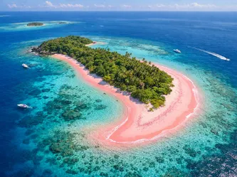 Sistem 30_ Plant Extracellular Vesicles (4)-2