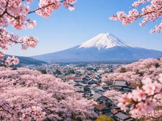 Sistem 30_ Plant Extracellular Vesicles (6)-2